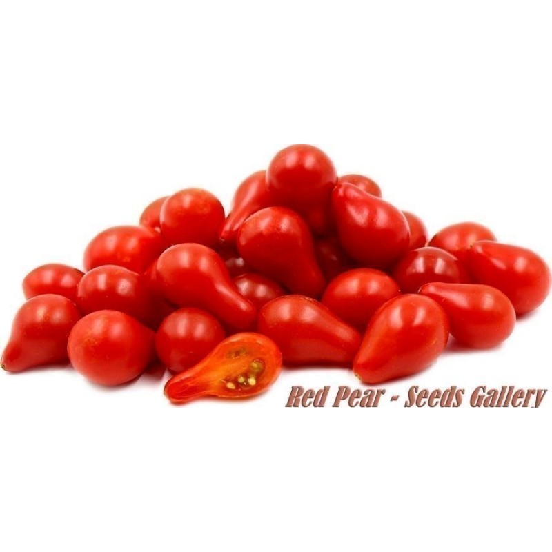 Spóroi Ntomáta Kókkino achládi - Red Pear Seeds Gallery - 3