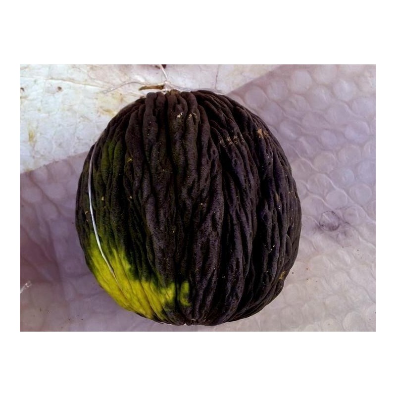 Black Melon Seeds - Cena: €2.45