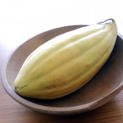 Semillas de banano melón