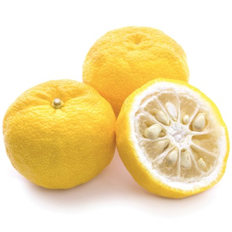 4.15 Semi di Yuzu Agrumi giapponesi -20 ° C (Citrus junos)