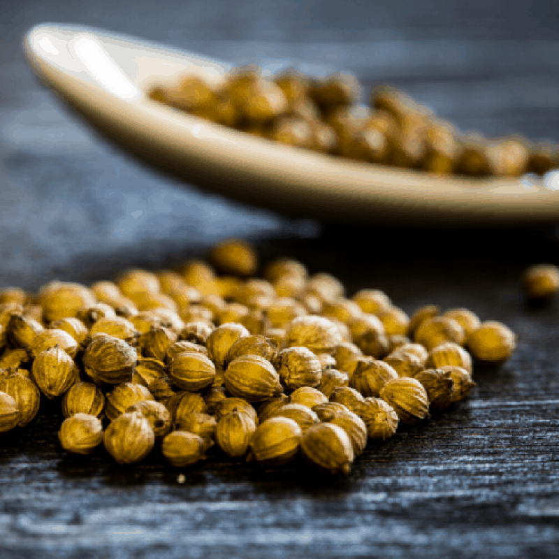 Coriandolo spezie - frutto intero  - 1