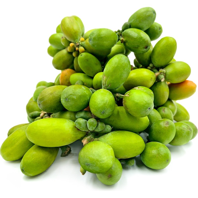 Semillas de Melinjo, Belinjo (Gnetum gnemon)