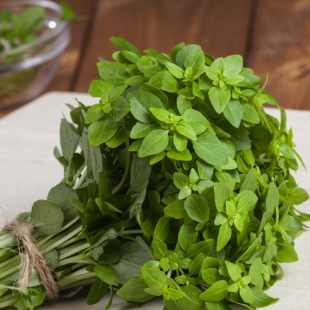 Acquista Semi Di Basilico Greco Nano - Ocimum Basilicum | Erba - Foto 5