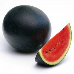 Frön Svart vattenmelon