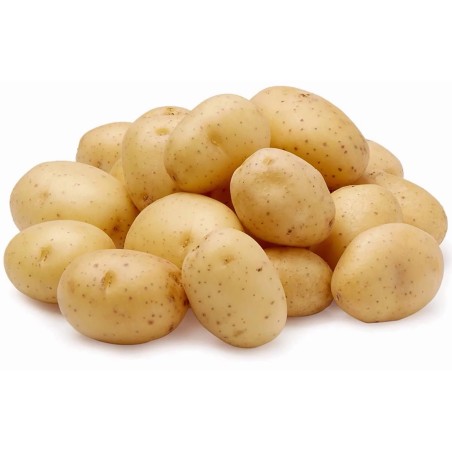 2.45 Potatisfrön Gourmet