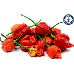 Carolina Reaper Seeds Red or Yellow Worlds Hottest 2.45 - 1
