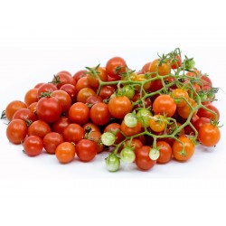 Семена диких томатов...