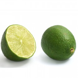 Key limoenzaden (Citrus...