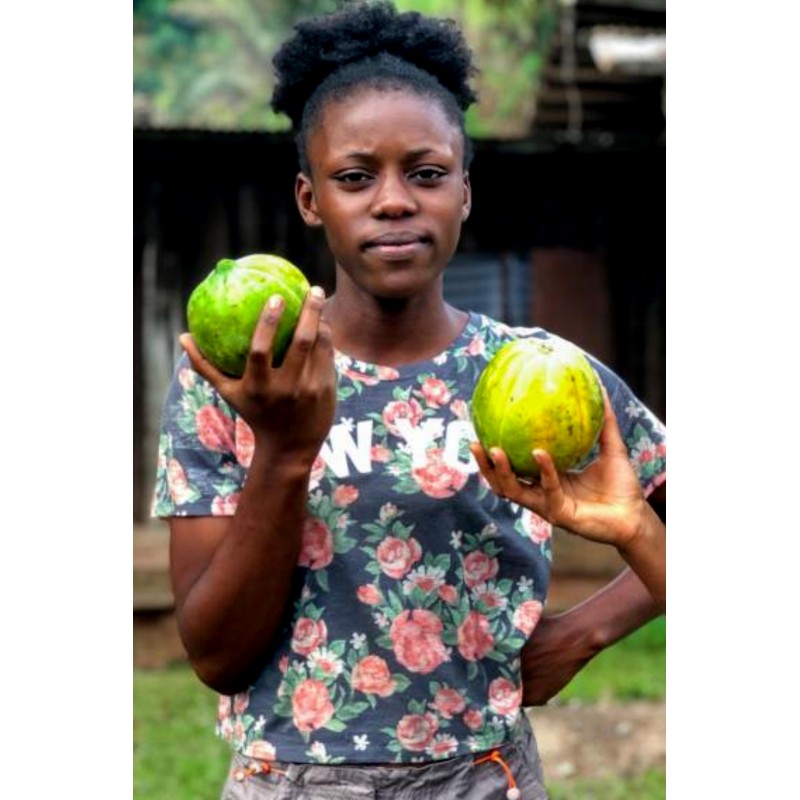 Super rare Carica papaya Gabon Melon seeds | Price: €5.95 🌳🌼🌸🌿🌱🍉