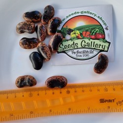 Fasolia Gigantes - Elefantes Kastorias Beans Seeds