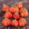 Tlacolula Ribbed Heirloom tomato Seeds | Price: € 1,95 🌳🌼🌸🌿🌱🍉