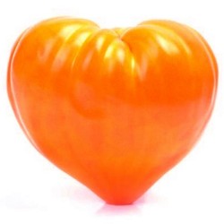 1.55 Graines de tomate Coeur De Boeuf Orange