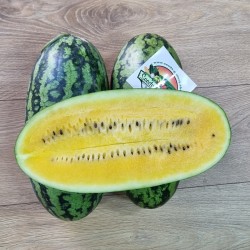 Vattenmelonfrön Gul banan