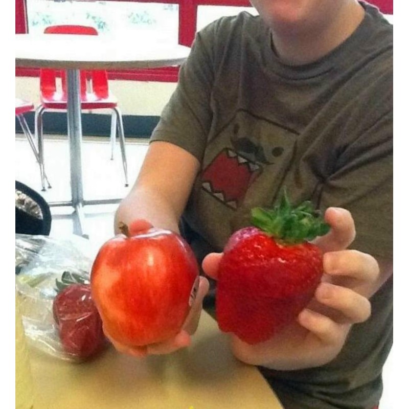 2.85 Semi di Fragola Gigante
