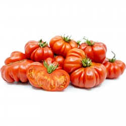 Tomatfrön Costoluto Genovese