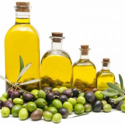 Semena Kalamata olivovníků...