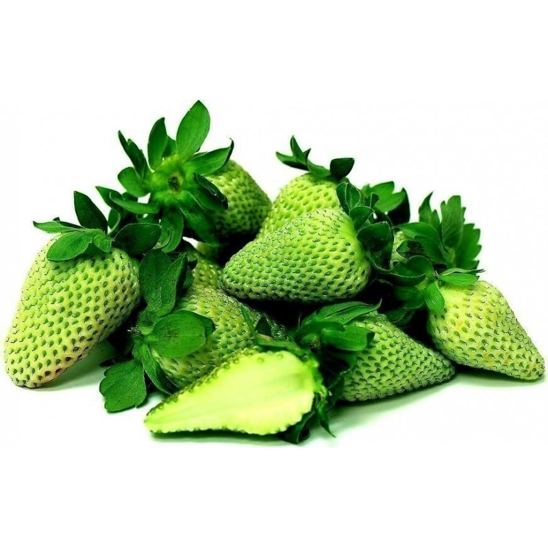 Graines De Fraise Verte - Allure exotique | Price: 4,50 € 🌳🌼🌸🌿🌱🍉