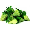 Graines De Fraise Verte - Allure exotique | Price: 4,50 € 🌳🌼🌸🌿🌱🍉