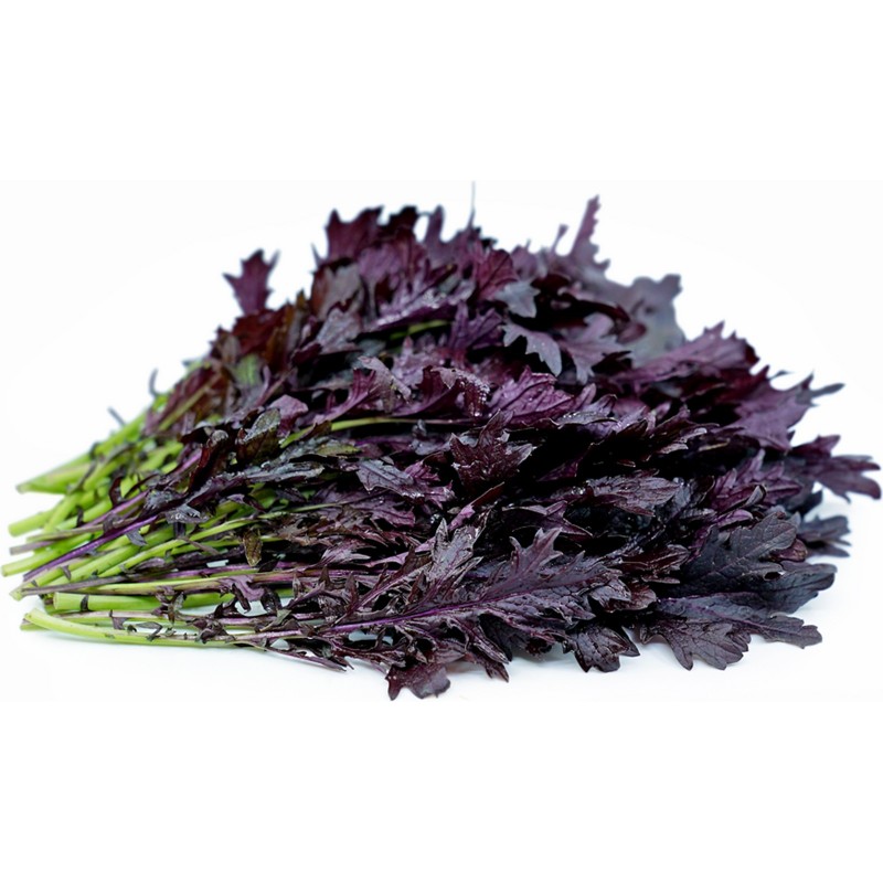 Graines de Mizuna, Salade Japonaise Rouge Prix €1.95