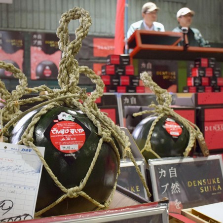 Japan Densuke Watermelon seeds|€4.95
