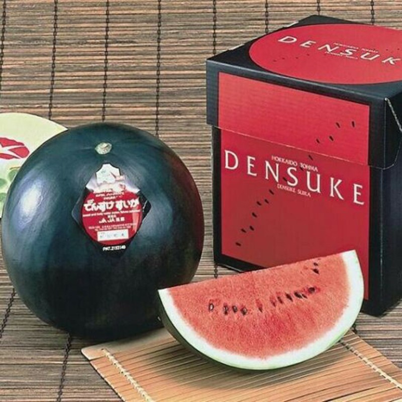 Japan Densuke Watermelon seeds|€4.95