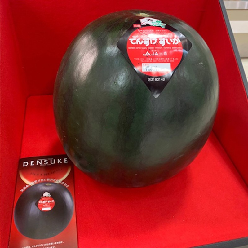 Japan Densuke Watermelon seeds|€4.95