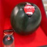 Japan Densuke Watermelon seeds|€4.95