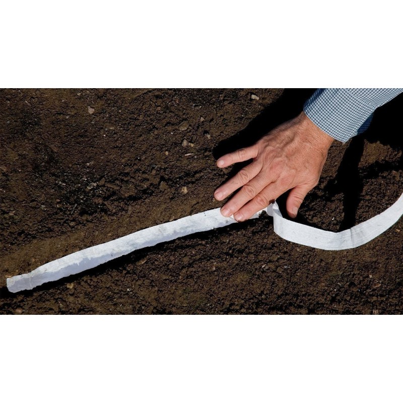 1.9 Nastro semi di Carote Nantes