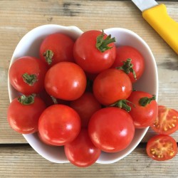 Graines de Tomate Cerise Bio Harmony  - 1