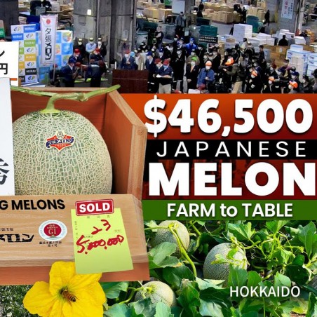 هال بذور (Elettaria cardamomum) | Price: 1.55 € 🌳🌼🌸🌿🌱🍉