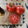 Heinz 1370 Tomato Seeds | Price: €2.00 🌳🌼🌸🌿🌱🍉