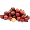 Sementes de Araçá-rosa (Psidium cattleianum) | Price: 3,25 € 🌳🌼🌸🌿🌱🍉