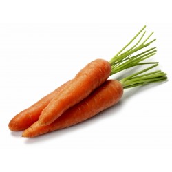 Graines de carotte Danvers
