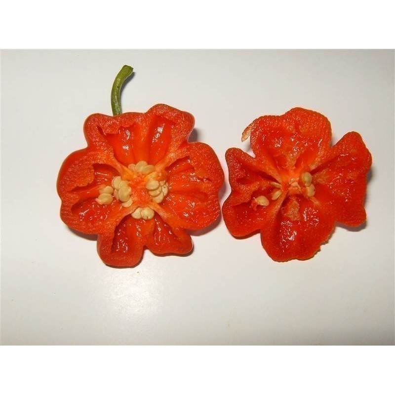 Brazilian Starfish Pepper Seeds