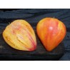2.1 Sementes de tomate Orange Russian