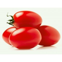 Sementes de tomate “Zomok“