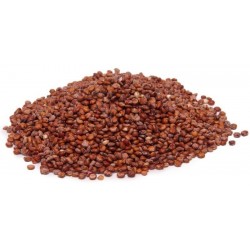 Semi di QUINOA Rosso o Bianco (Chenopodium quinoa)