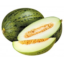 Mini-graine de melon deau biologique Mini-graine de pouce de concombre avec graines de melon comestibles Cioler Seed House 