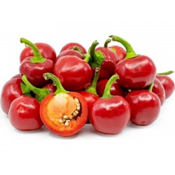 Chili Stora Röda Cherry frön