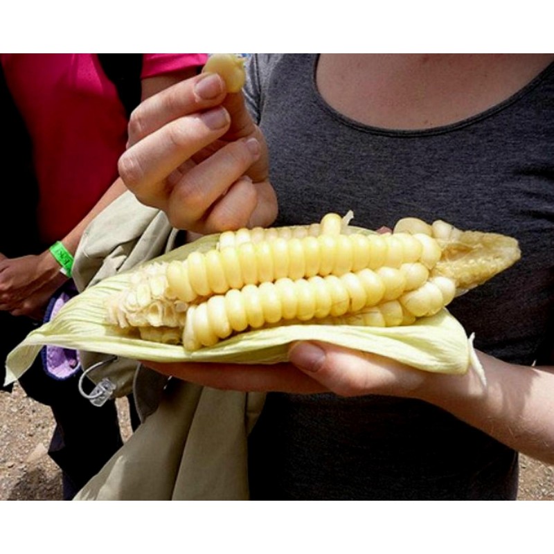 2.25 Semi di mais Gigante Cuzco - Cusco