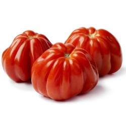 1.85 Semi di Pomodoro CUOR DI BUE