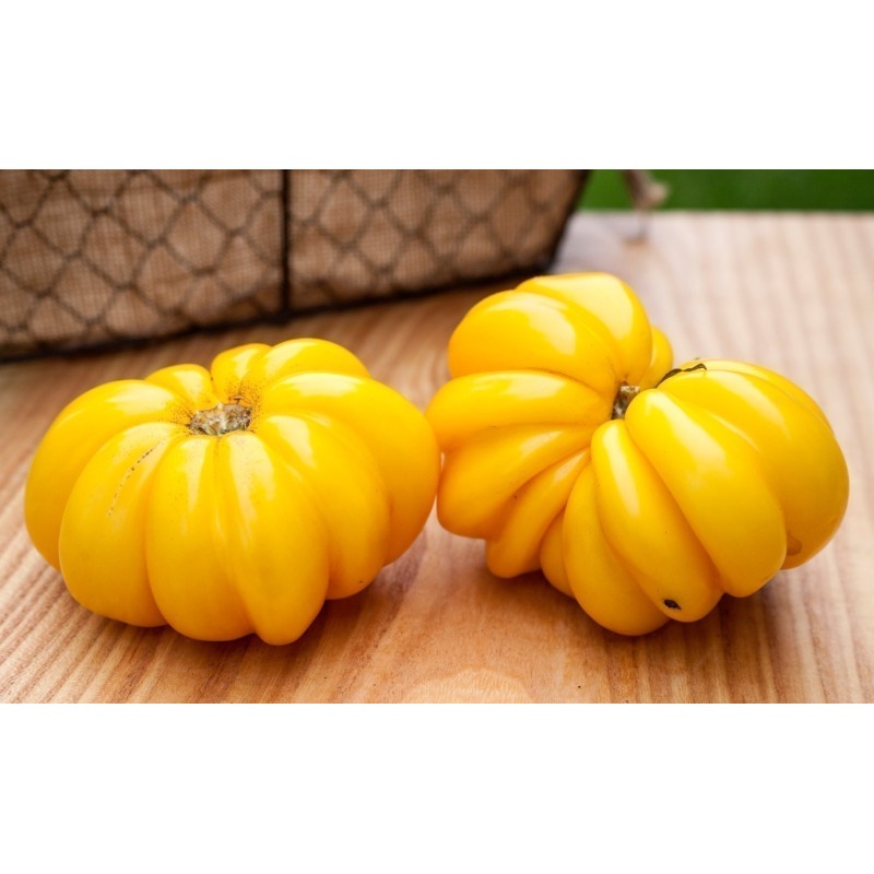 1.95 Yellow Ruffled Heirloom Tomato Seeds