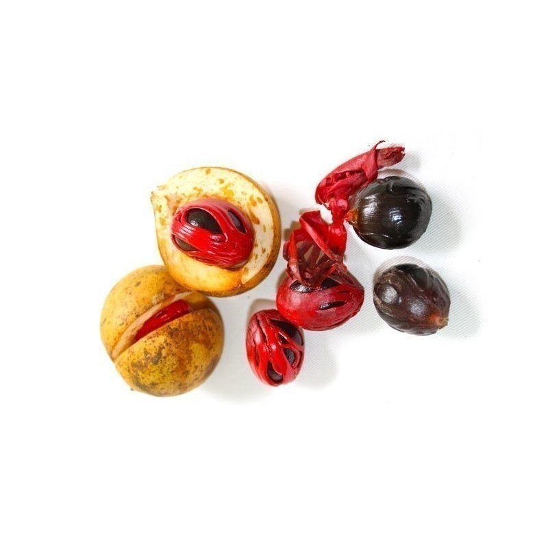 4.95 Nutmeg Seeds - Aphrodisiac
