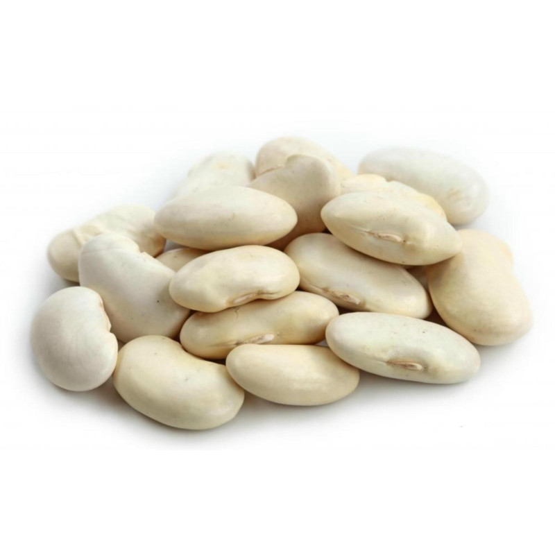 Giant White LIMA Bean Seeds