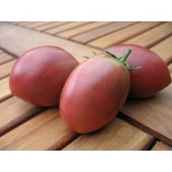 Ντομάτα σπόρος PURPLE RUSSIAN - UKRAINIAN PURPLE