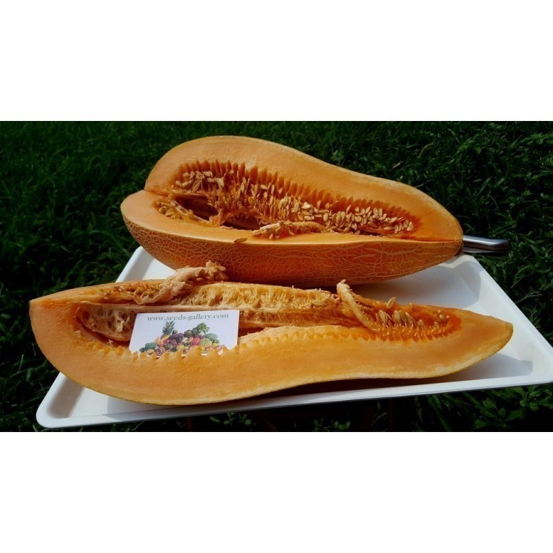 1.95 Semi greca tradizionale gigante Melon KALAMBAKA