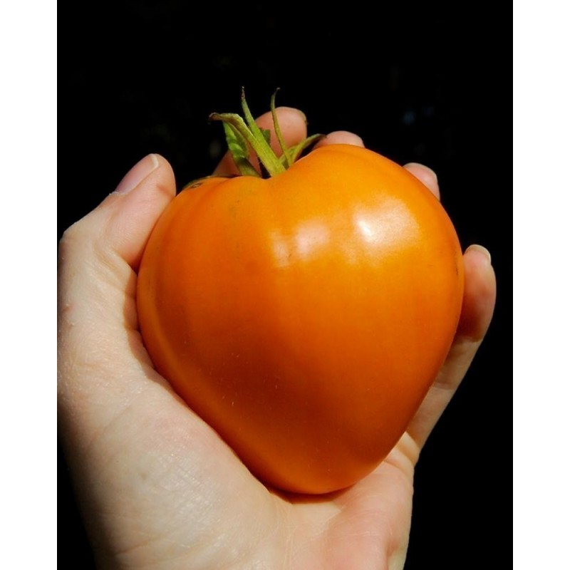 1.95 Semi di pomodoro German Orange Strawberry