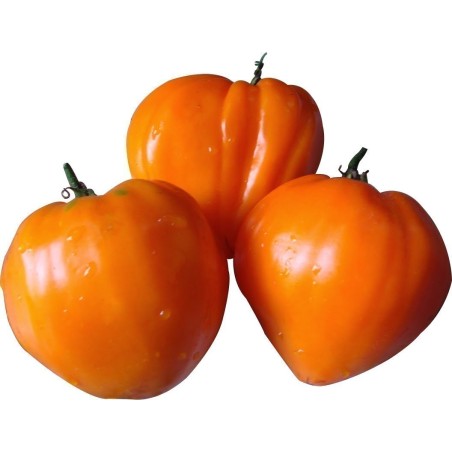 1.95 Tomat frön German Orange Strawberry