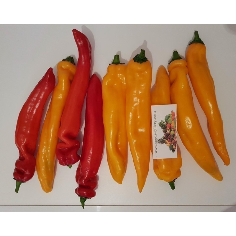 2.05 Ramiro Riesen Paprika Samen