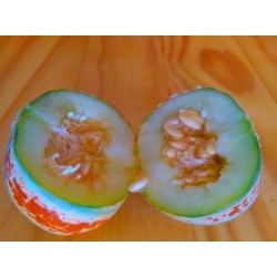 Rare KAJARI Melon Seeds